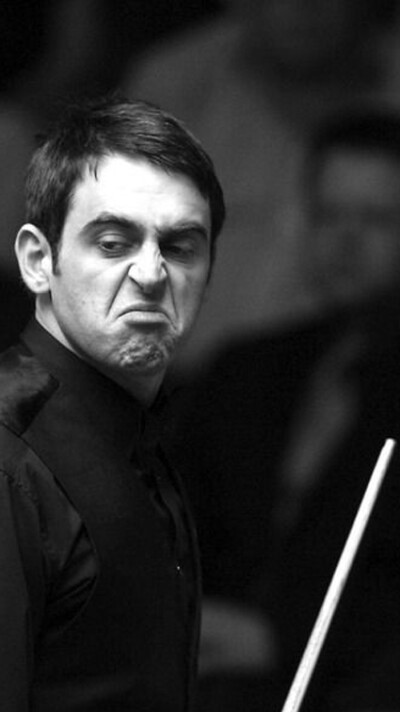 献了自己的 献了自己的